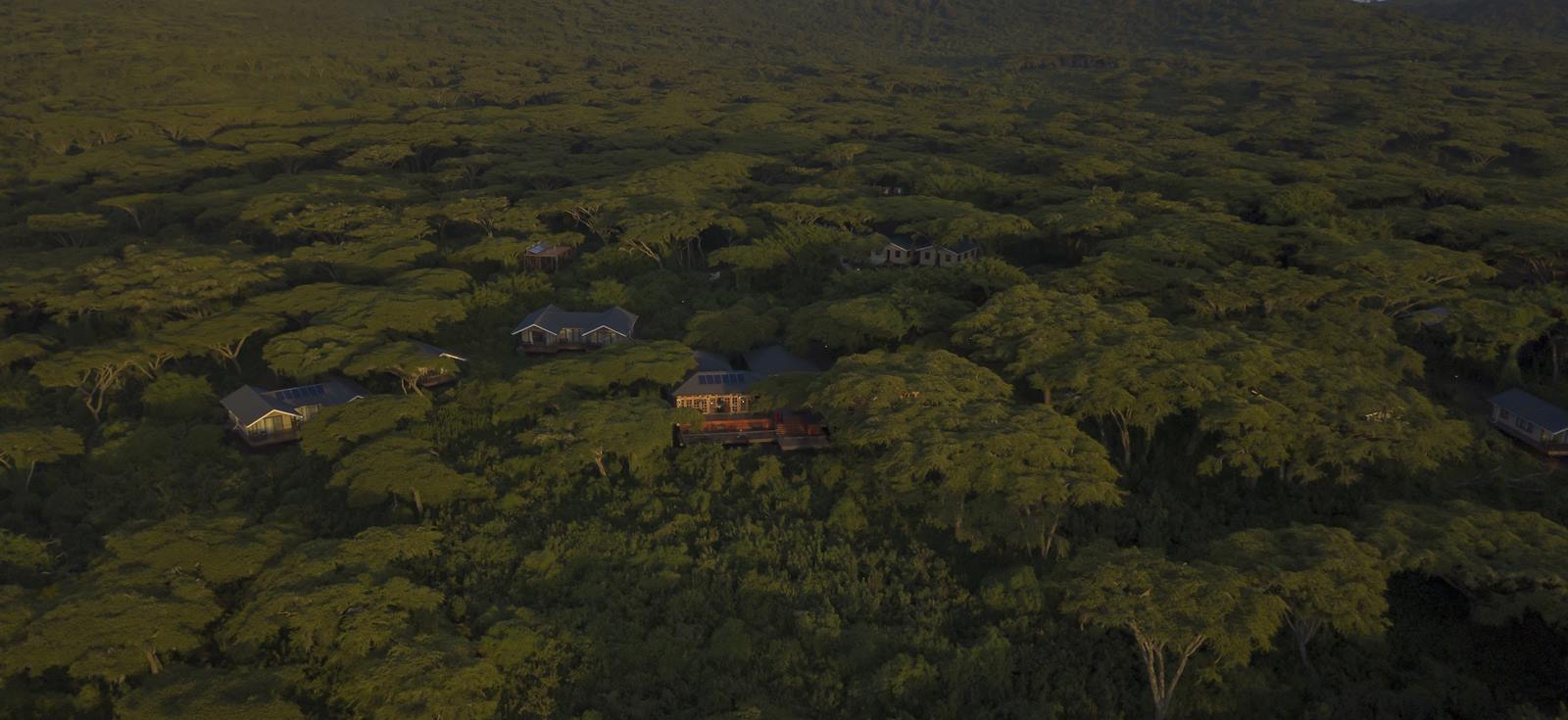Lions Paw Camp en Ngorongoro
