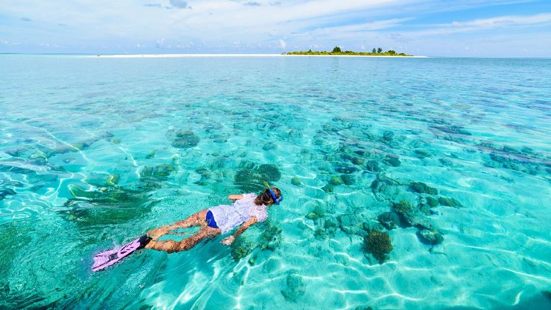 Wakatobi en Raja Ampat