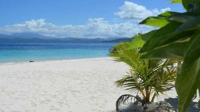 Wakatobi en Raja Ampat