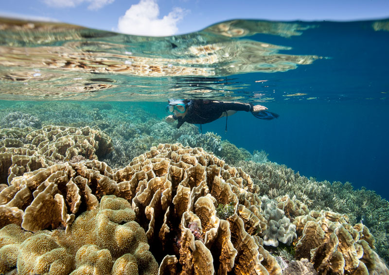 Wakatobi en Raja Ampat