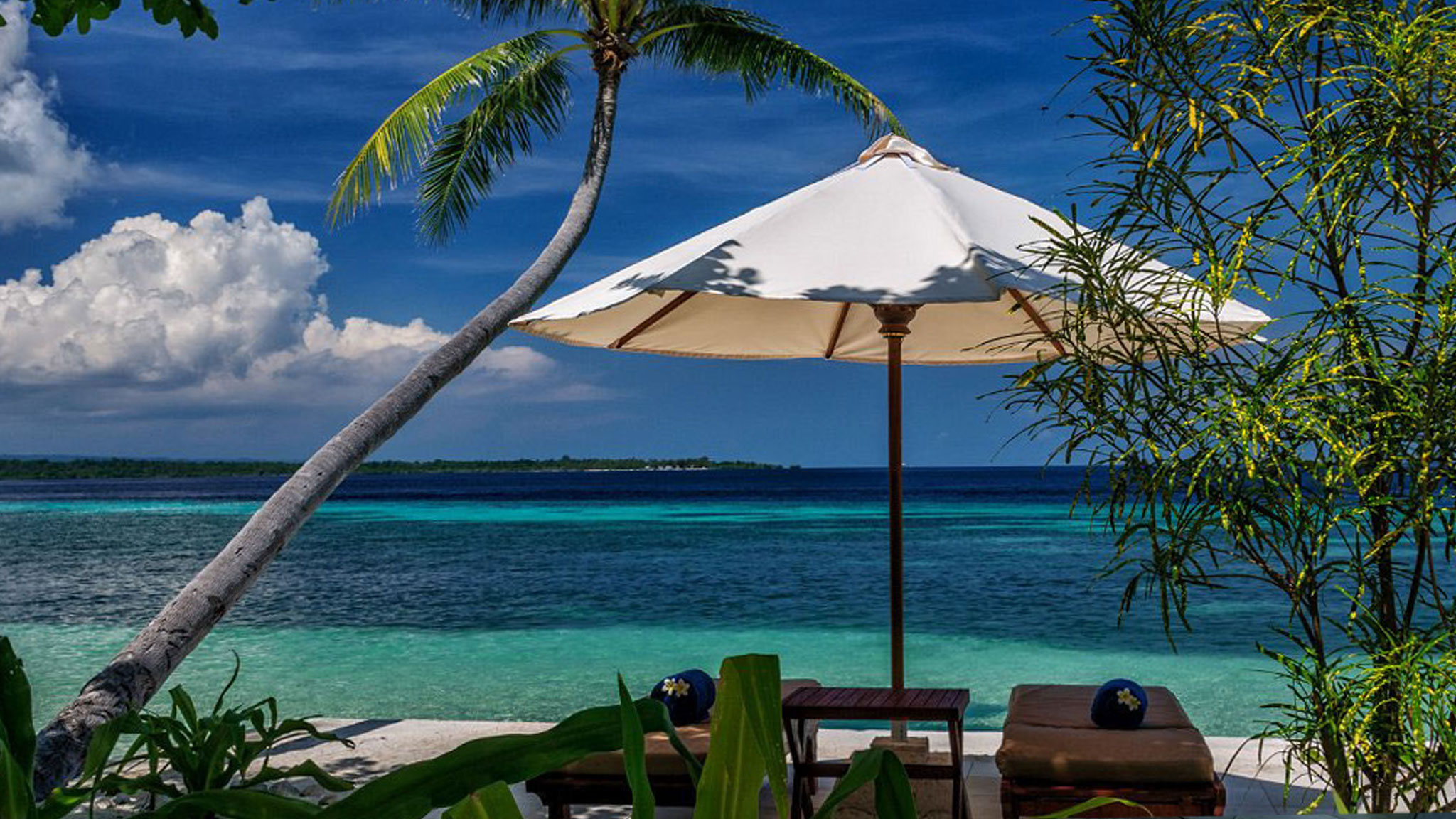 Wakatobi en Raja Ampat