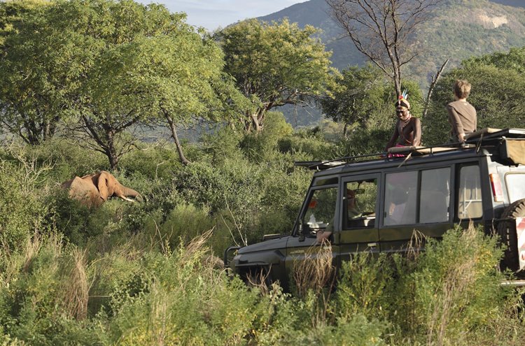 Namunyak Wildlife Conservancy