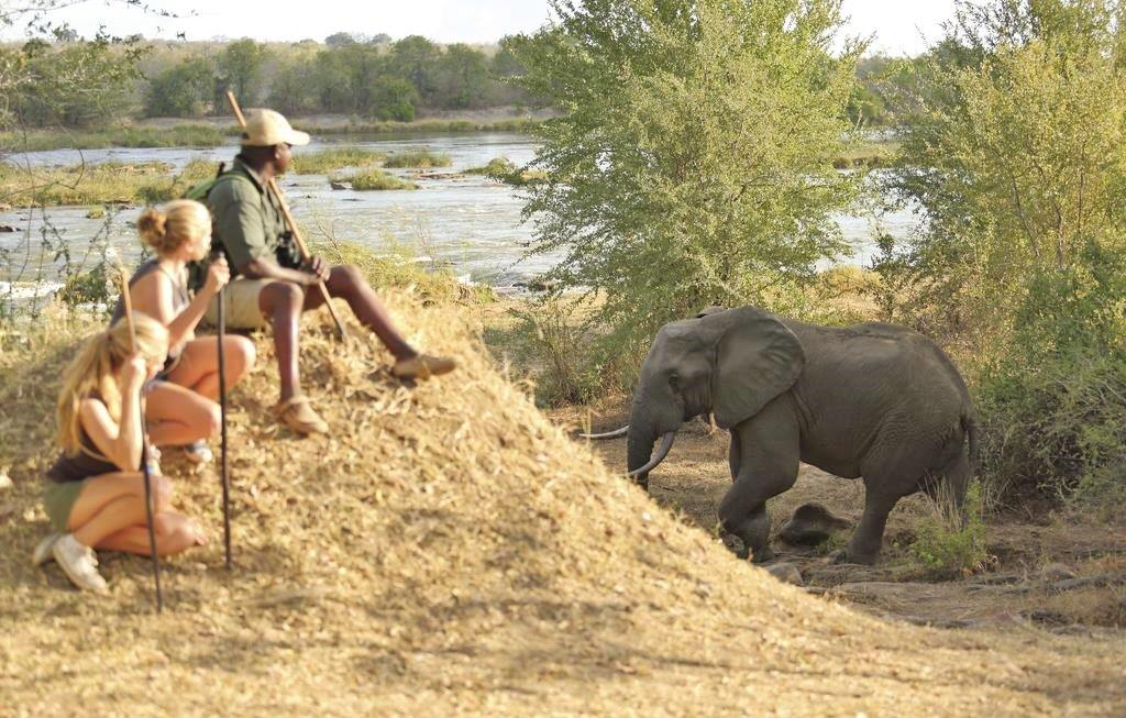 Selous Reserve