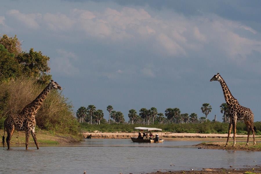 Safari Sur de Tanzania y Mafia Island diseñado por LAT.40