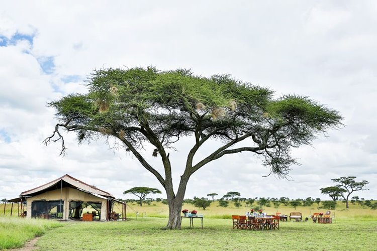 Pumzika Safari Camp en su destino