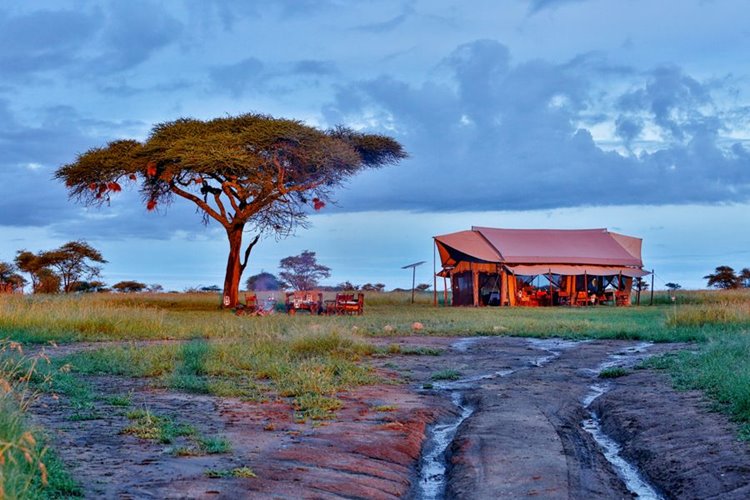 Pumzika Safari Camp en Serengeti