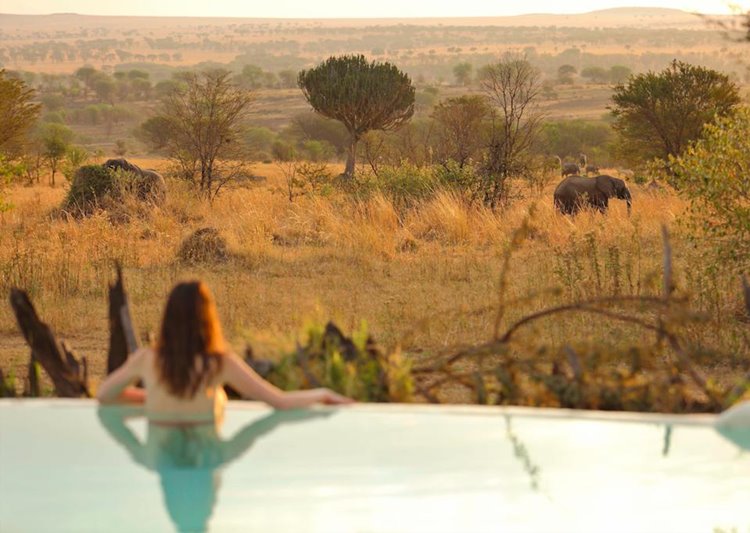 Sayari Camp en Serengeti
