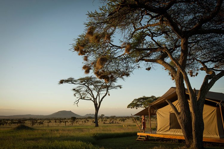 Siringit Serengeti Camp en su destino