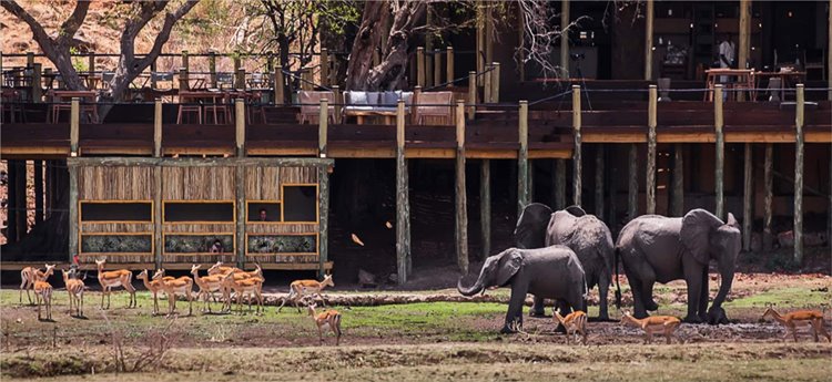Puku Ridge en Luangwa Valley