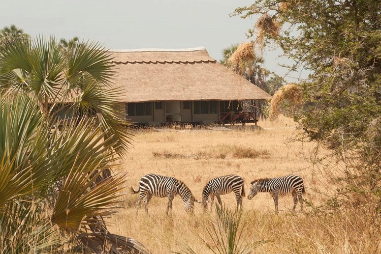 Maramboi Tented Lodge en Tarangire