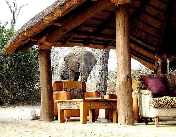 Tarangire