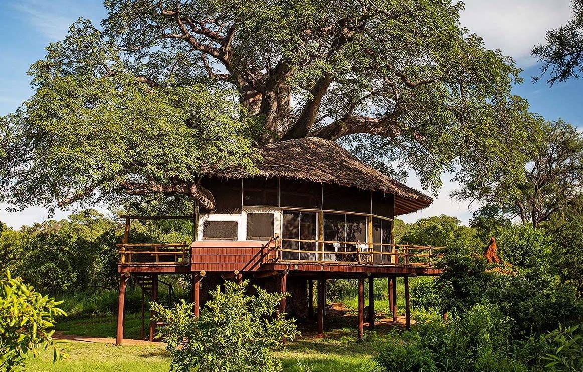 Tarangire Treetops en Tarangire