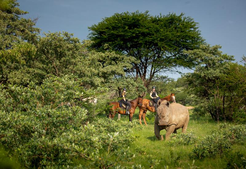 Ant Hill en The Waterberg