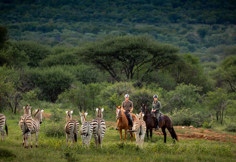 Ant Hill en The Waterberg
