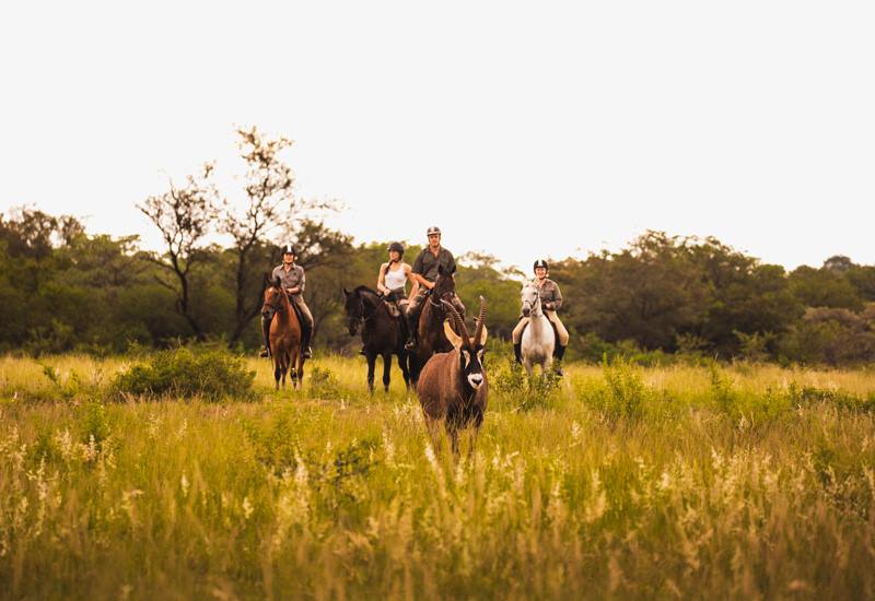 Ant Hill en The Waterberg