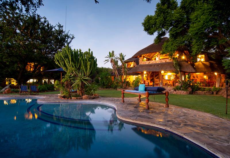 Ant Hill en The Waterberg