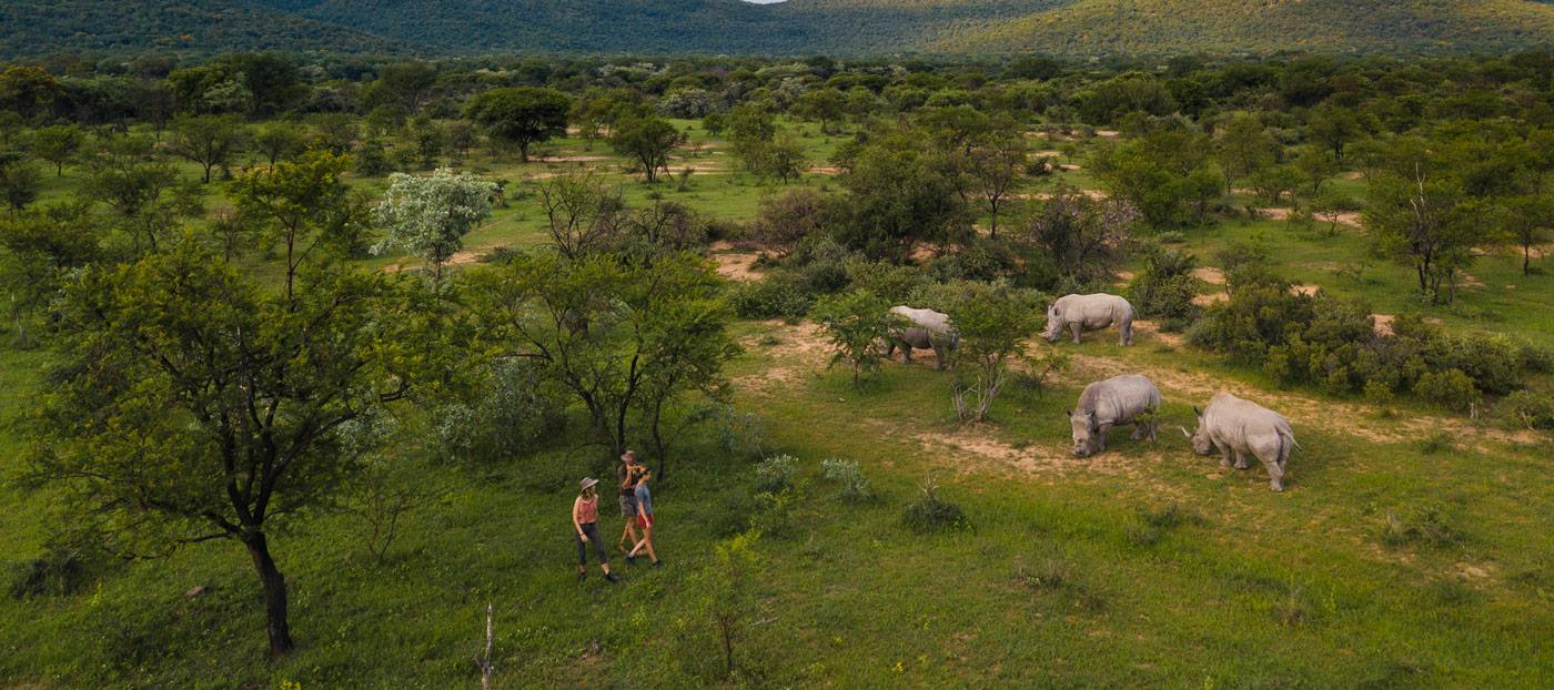 Ant Hill en The Waterberg