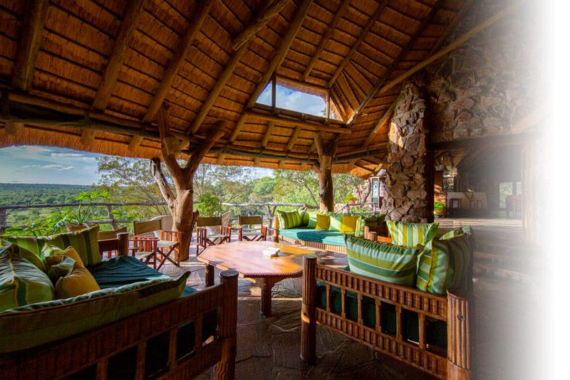Ant Hill en The Waterberg