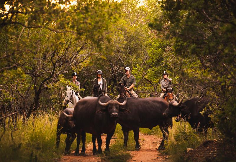Ant Hill en The Waterberg