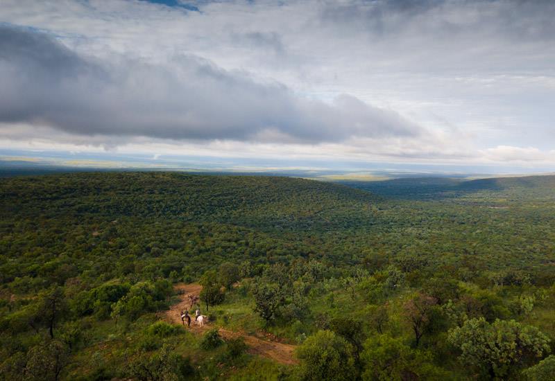 Ant Hill en The Waterberg