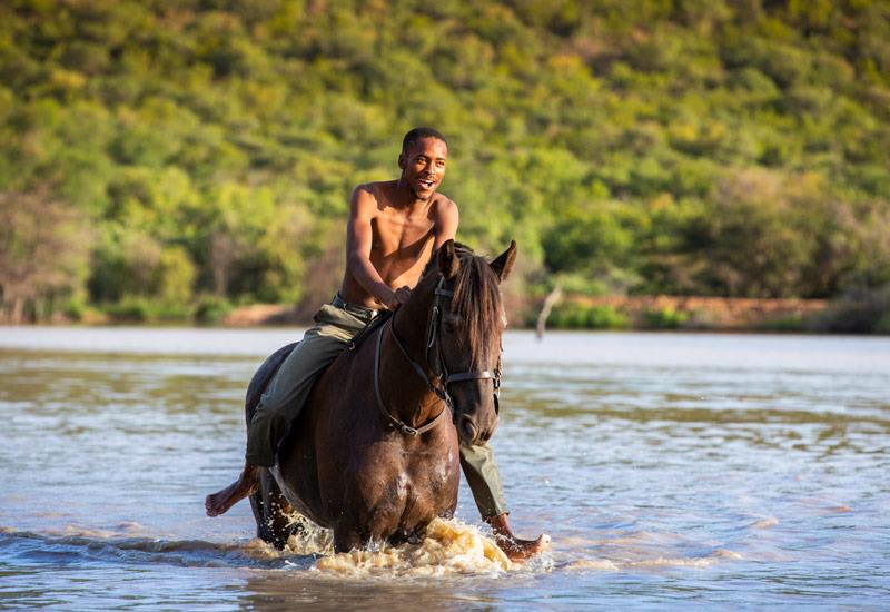 Ant Hill en The Waterberg