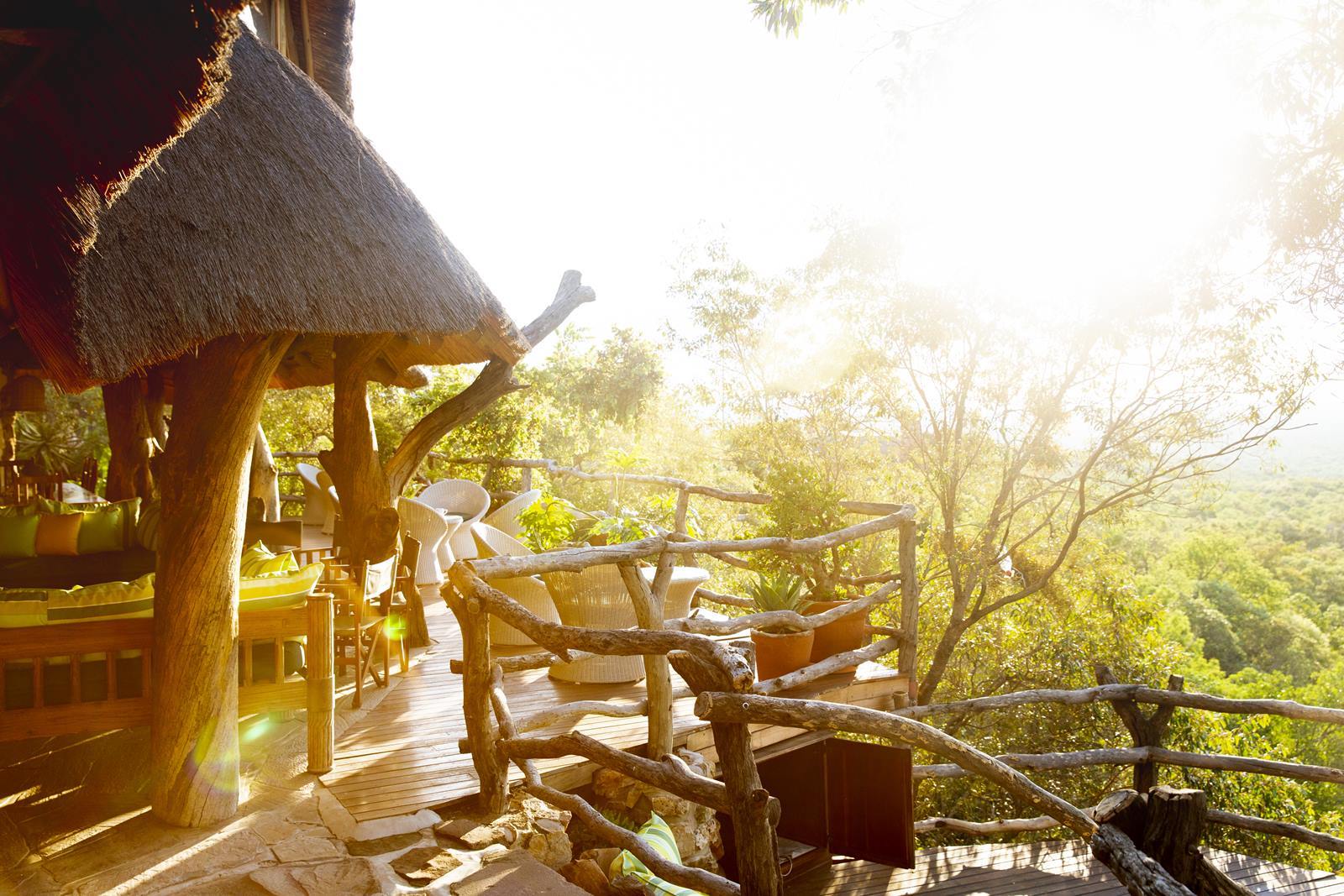 Ant Hill en The Waterberg