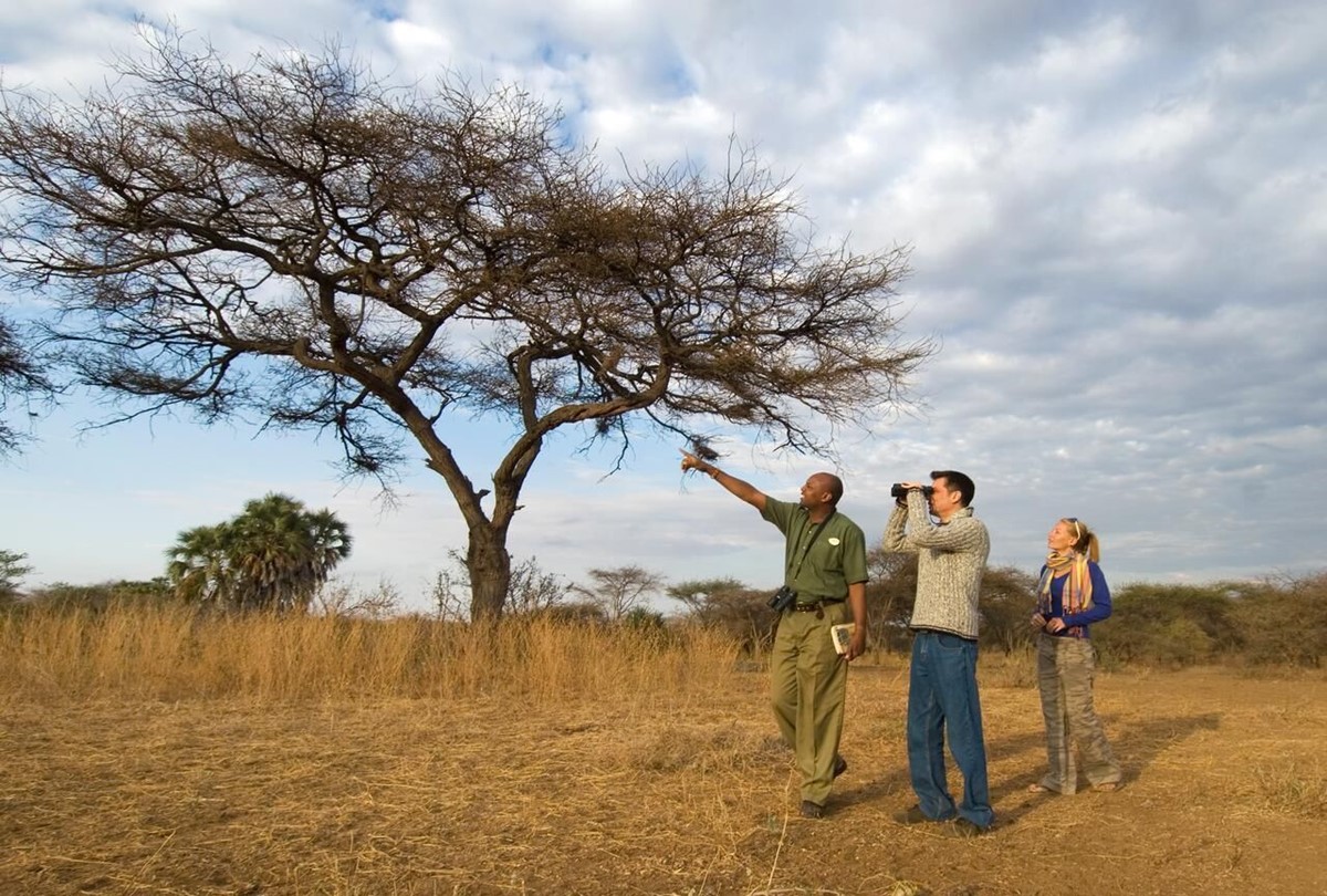 Severin Safari Camp en Tsavo West