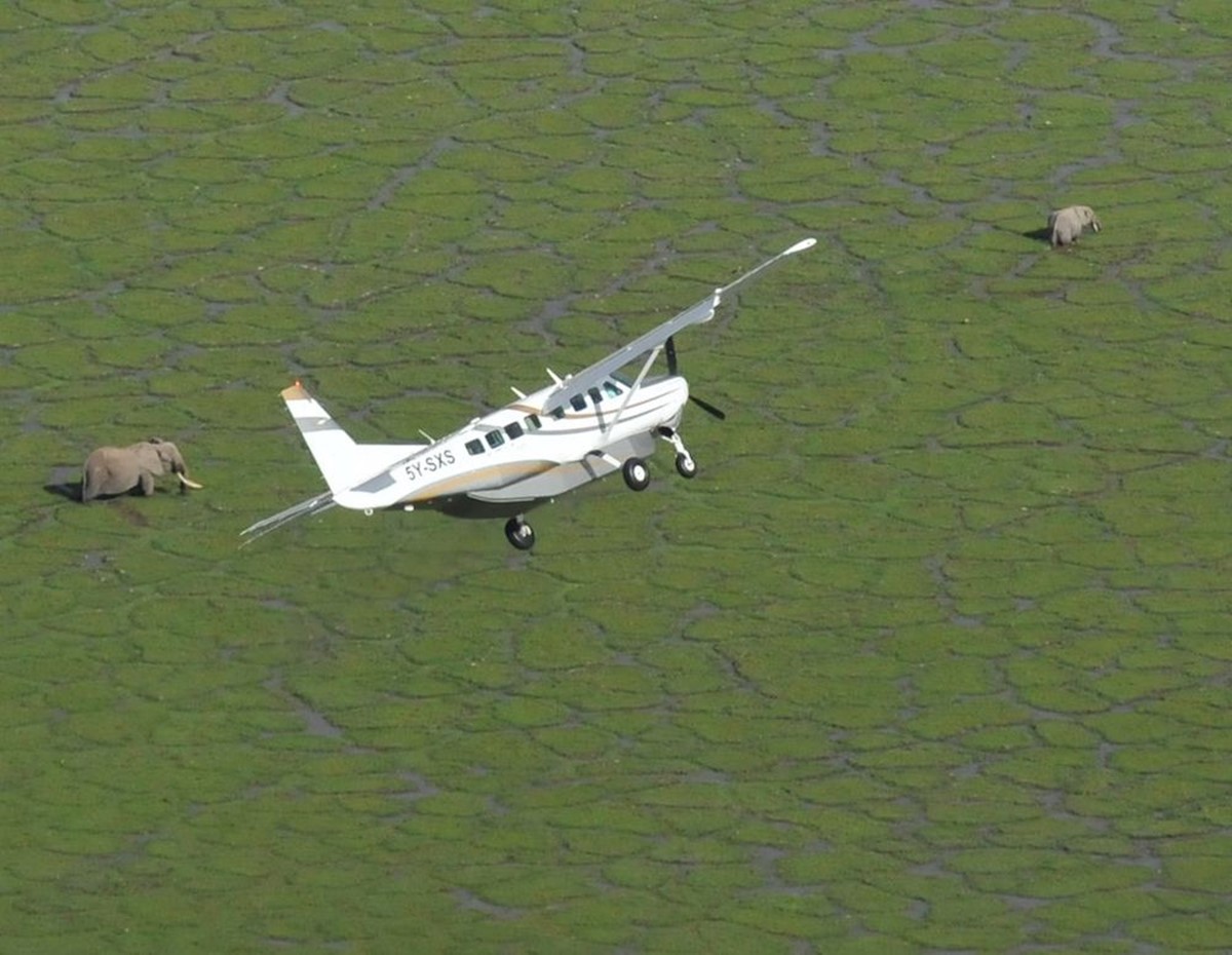 Severin Safari Camp en Tsavo West