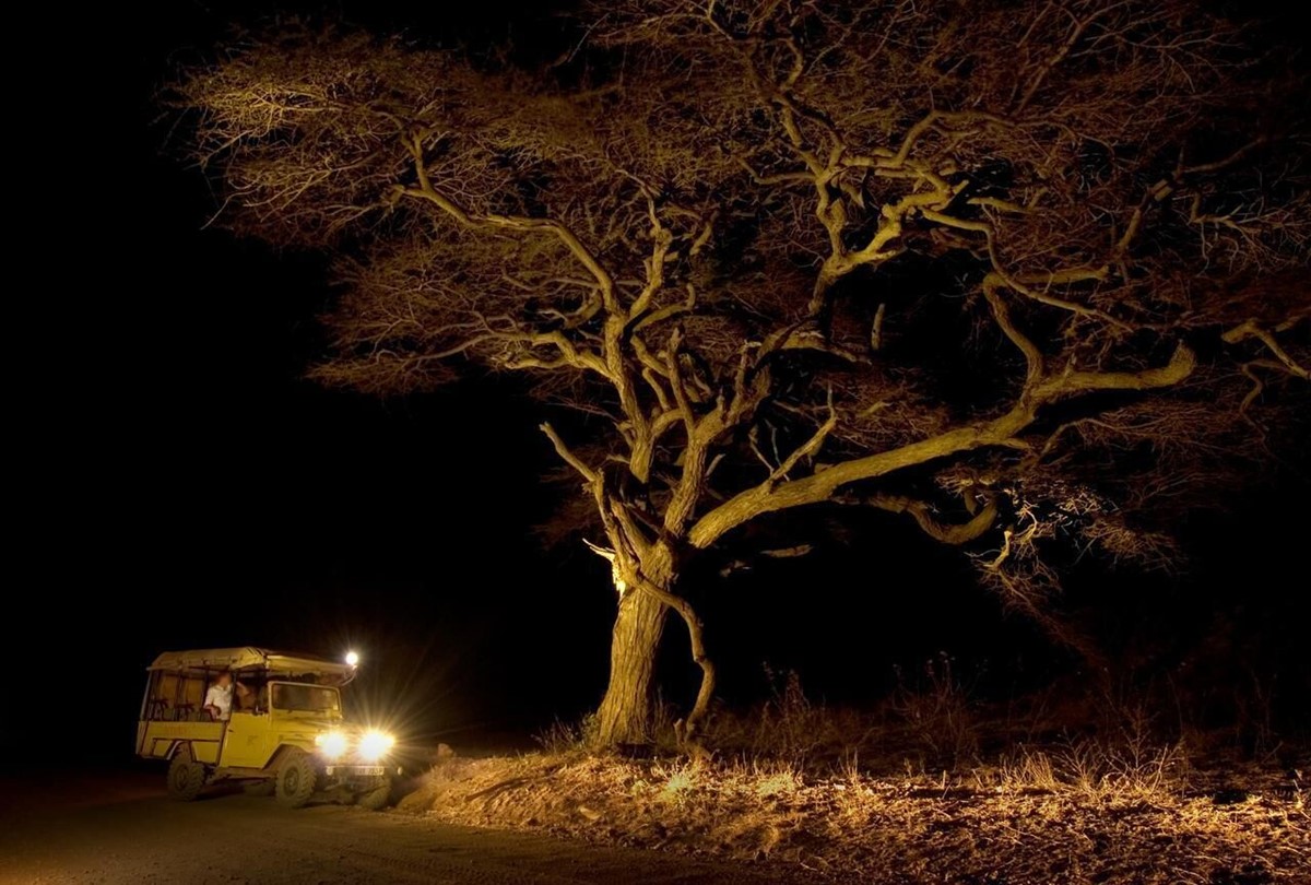 Severin Safari Camp en Tsavo West