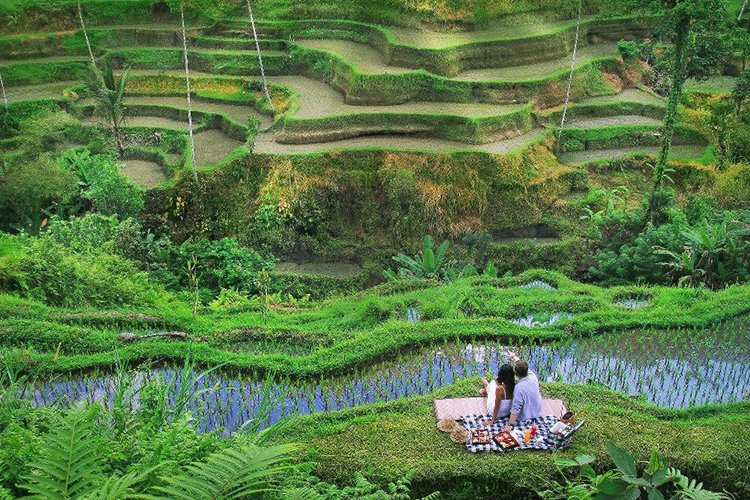 Kayon Resort by Pramana en Ubud