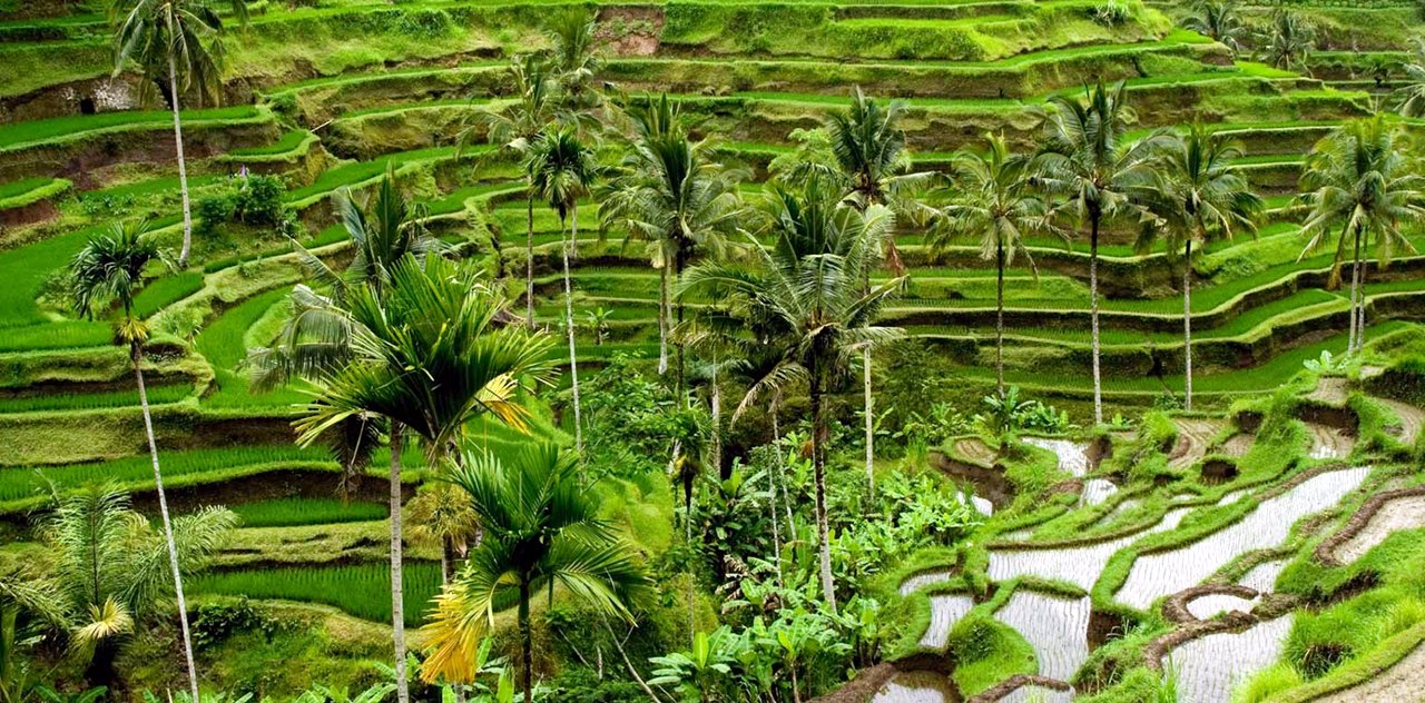 Inolvidable viaje en Indonesia y Singapur diseñado por LAT.40