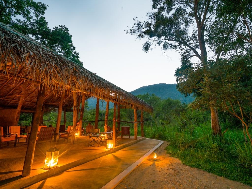 Tree Tops Jungle Lodge en Yala