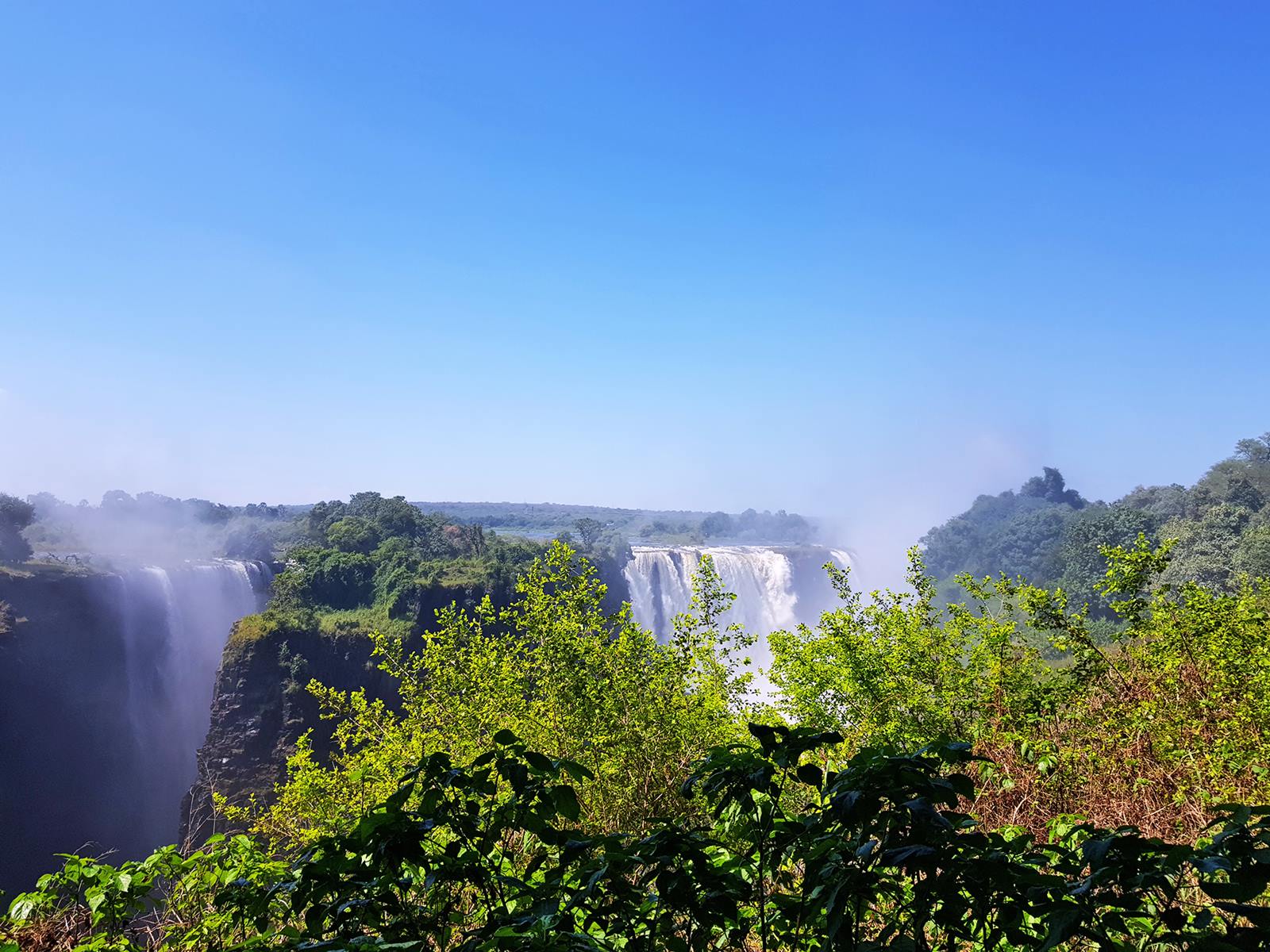 Zambezi National Park | LAT.40