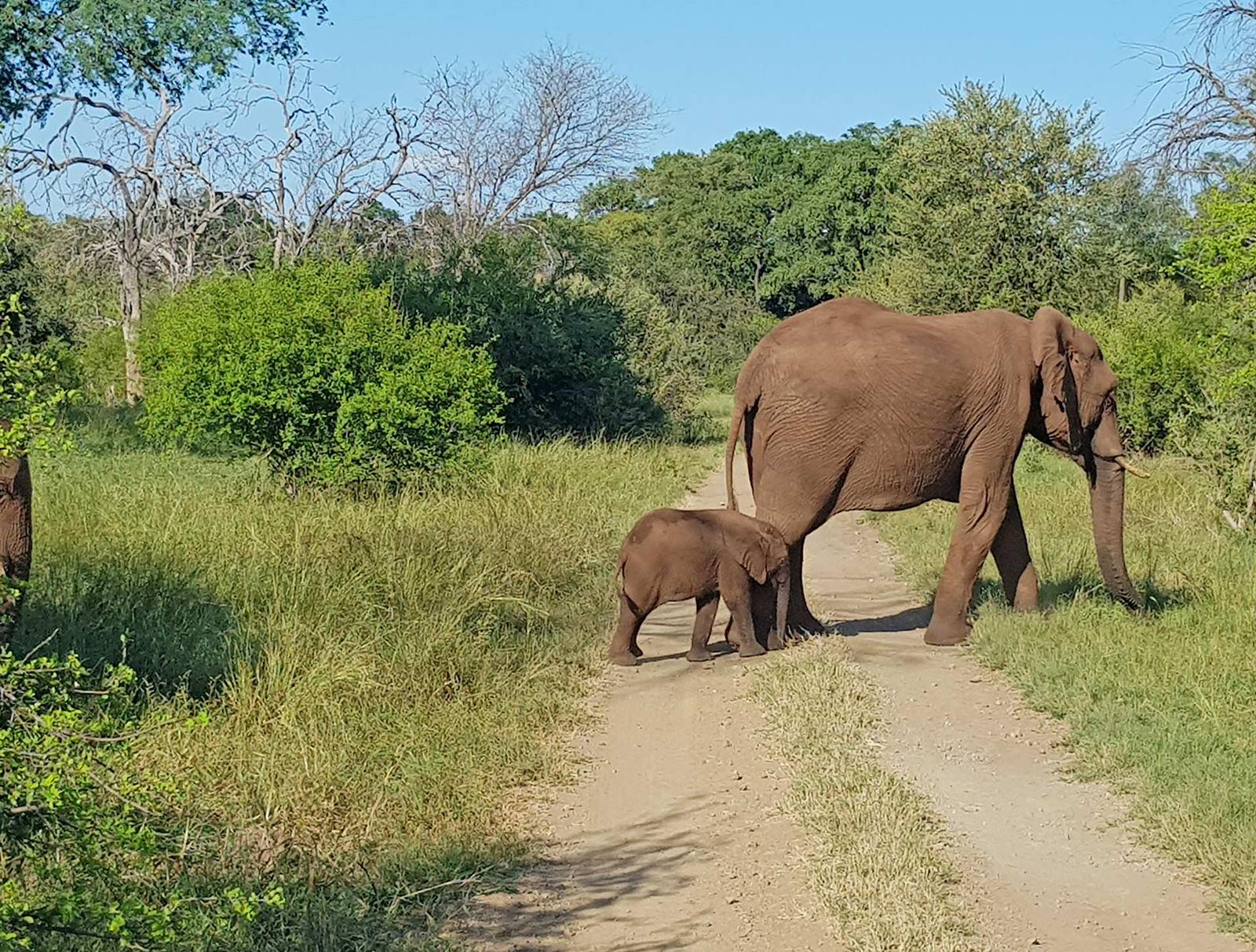 Tsowa Safari Island en Zambezi National Park