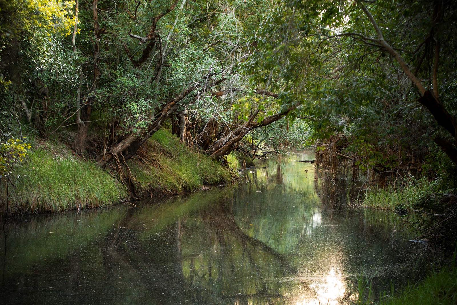 Tsowa Safari Island en Zambezi National Park