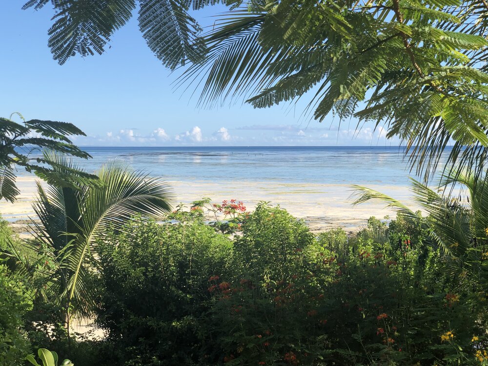 Qambani Luxury Villas en Zanzibar