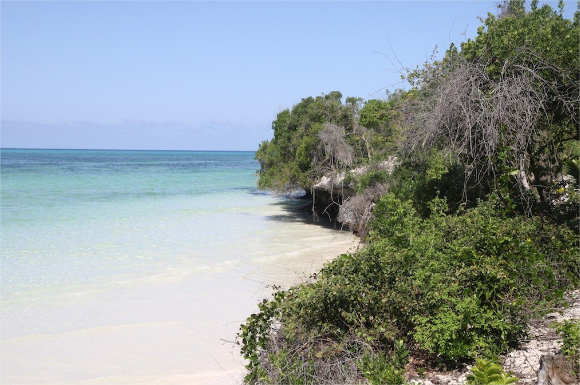 Qambani Luxury Villas en Zanzibar