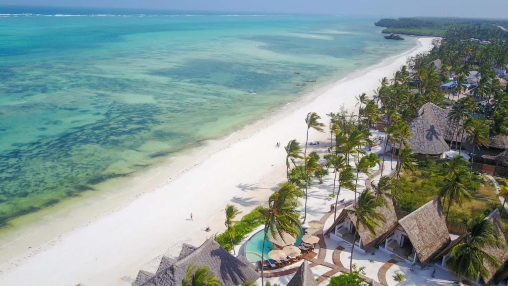 Baladin Zanzibar Hotel | LAT.40