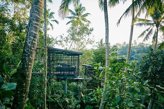 Hoshinoya Bali en Ubud