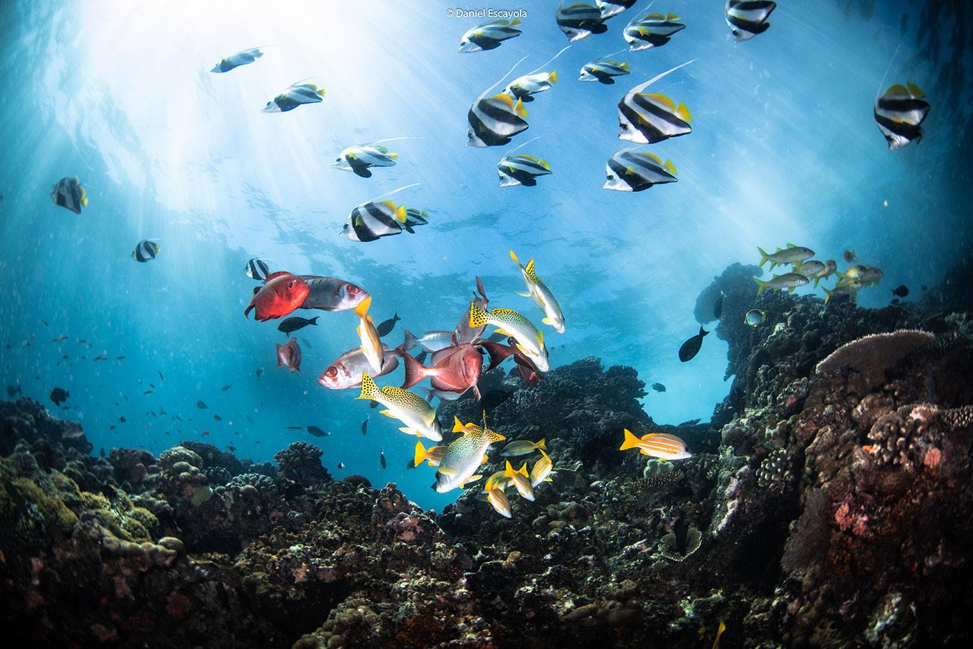 Kisawa Sanctuary en Benguerra Island