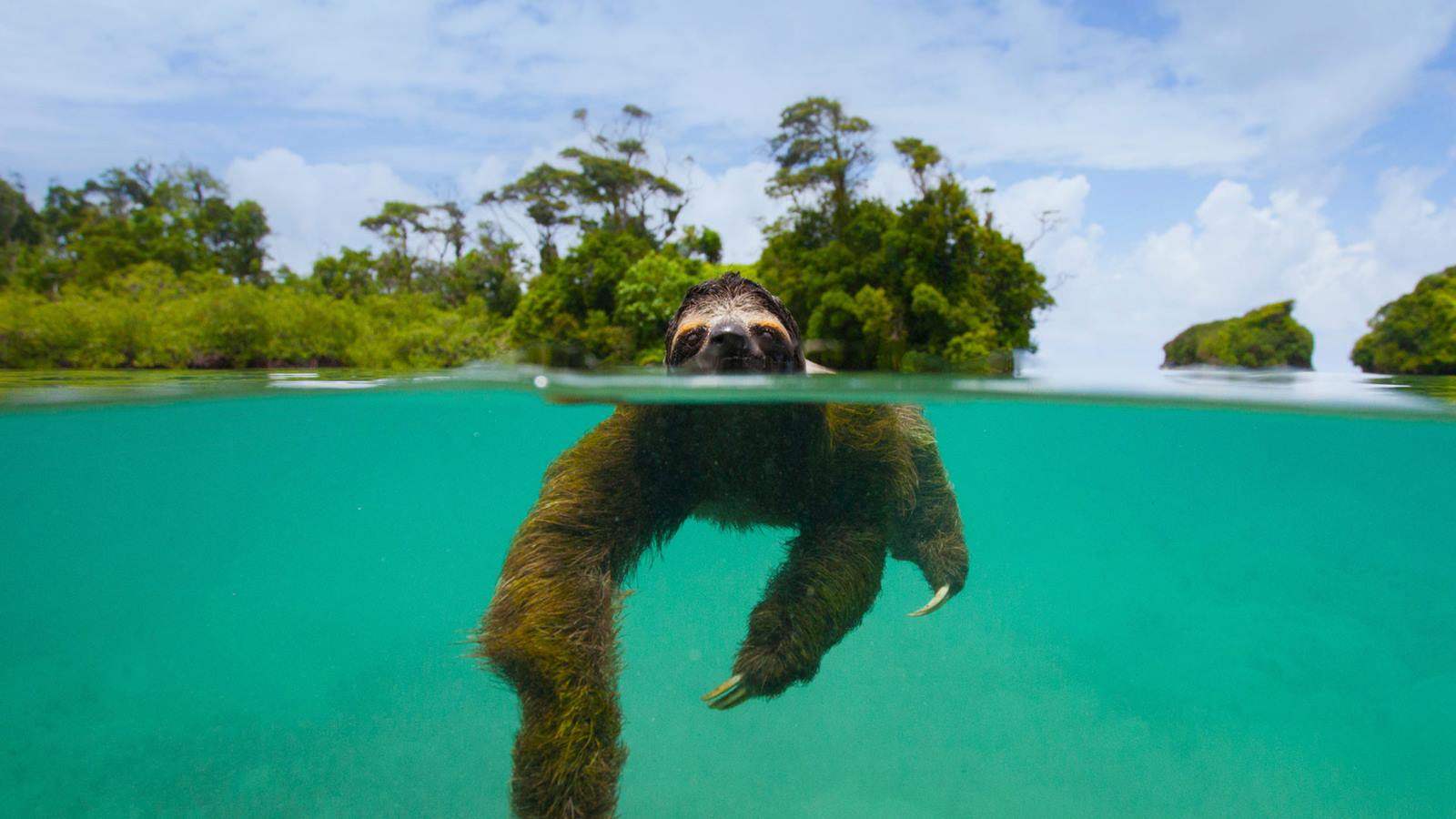 Nayara Bocas del Toro en Bocas del Toro