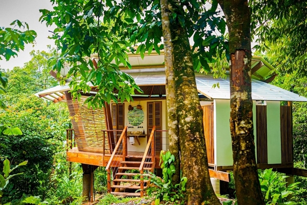  La Loma Jungle Lodge en Bocas del Toro