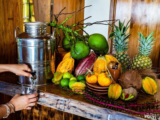  La Loma Jungle Lodge en Bocas del Toro
