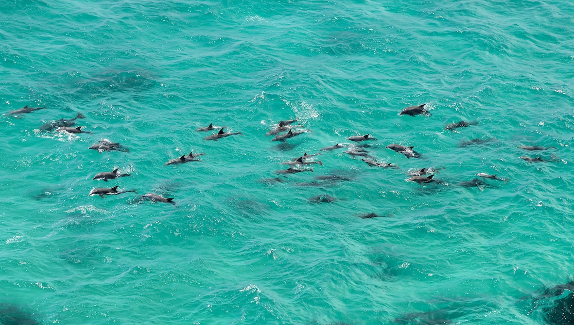 Byron Bay