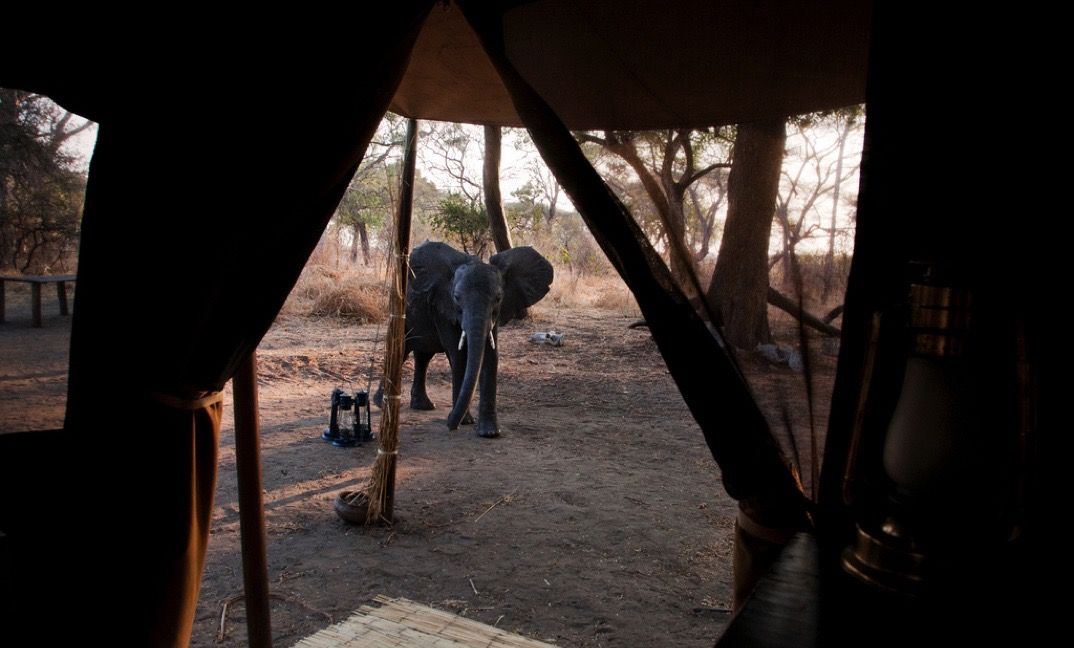 Nomad Chada Katavi en Katavi