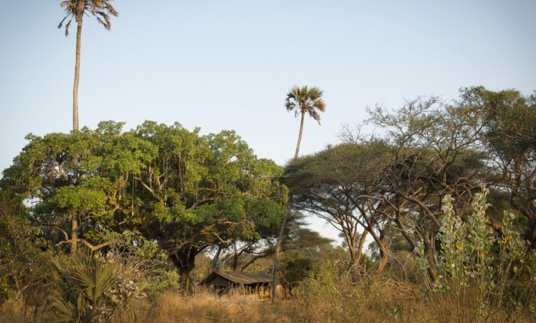 Nomad Chada Katavi en Katavi