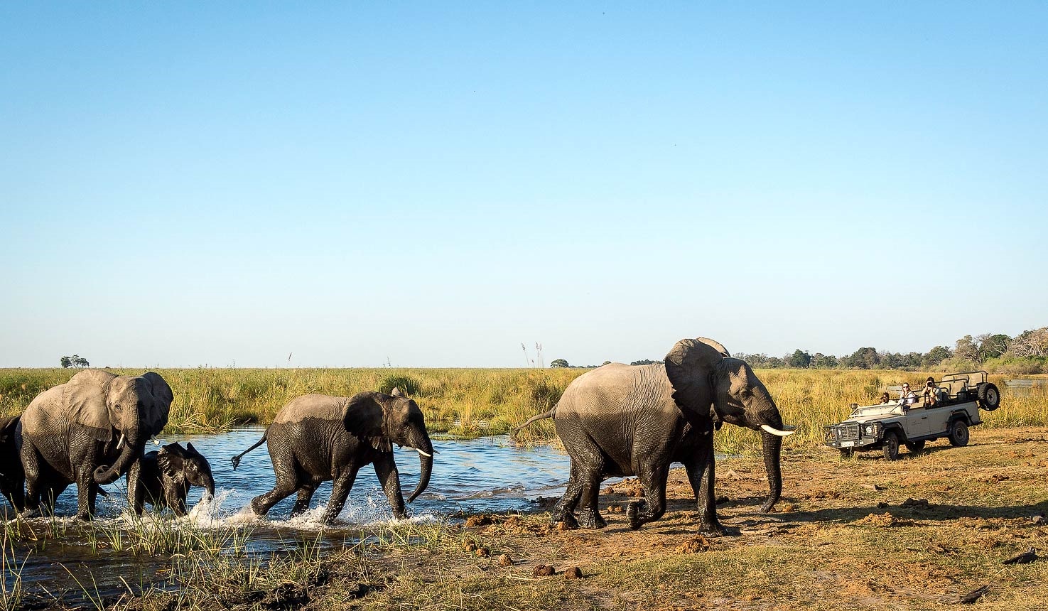 Linyati Tented Camp en Chobe