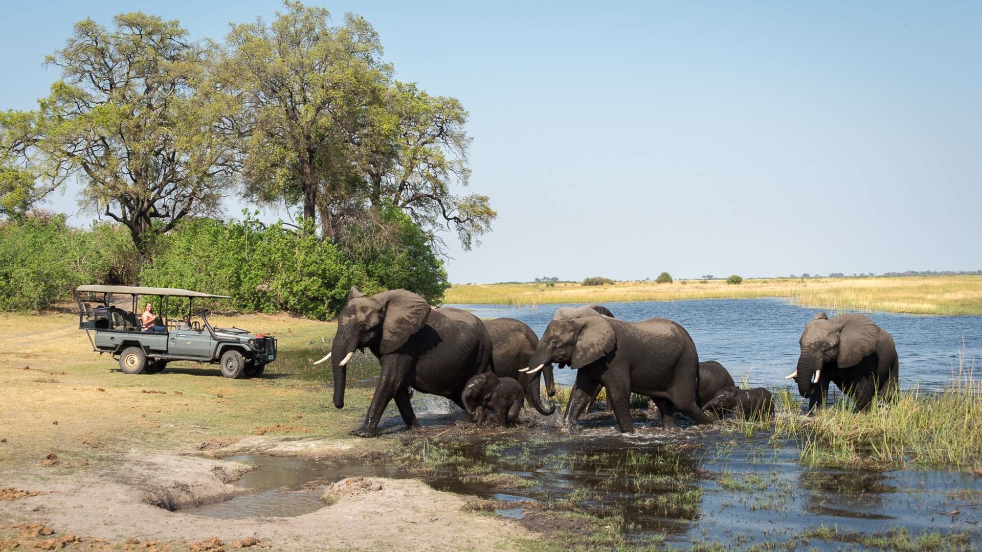 Linyati Tented Camp en Chobe