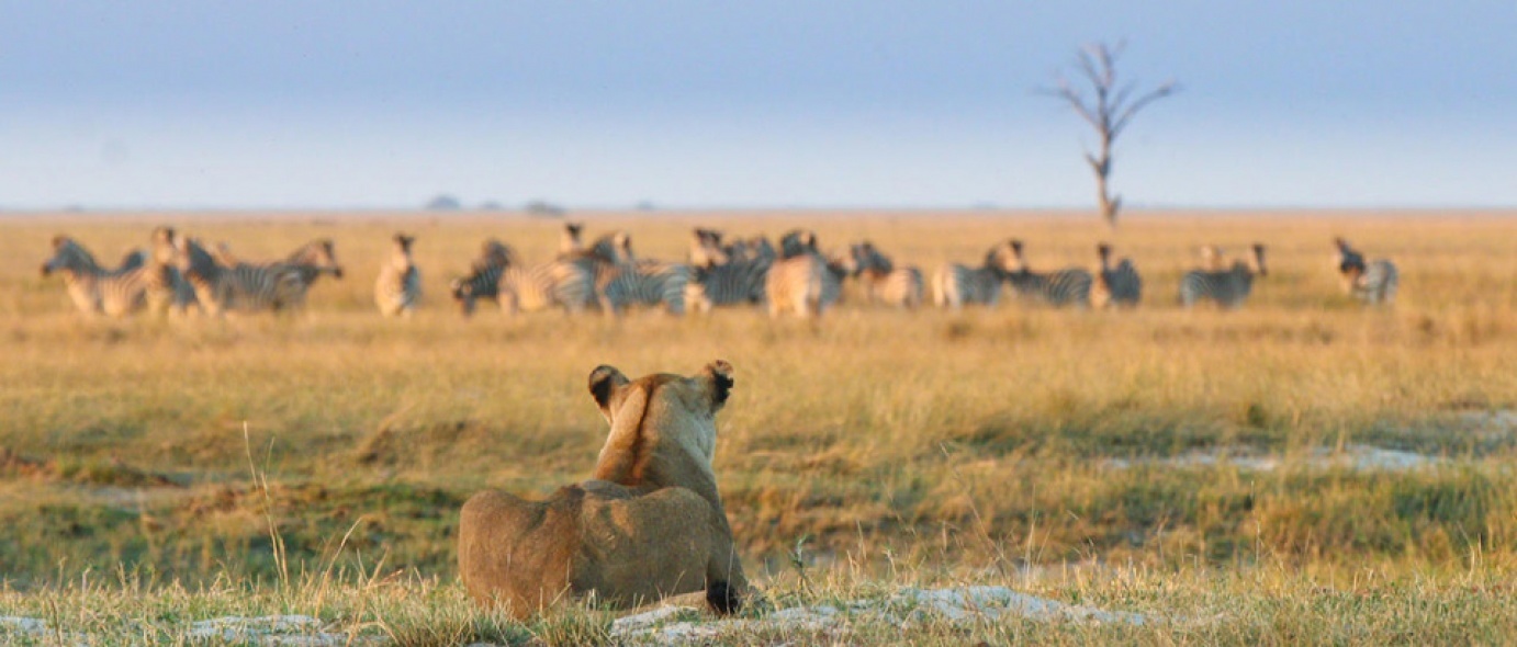 Linyati Tented Camp en Chobe