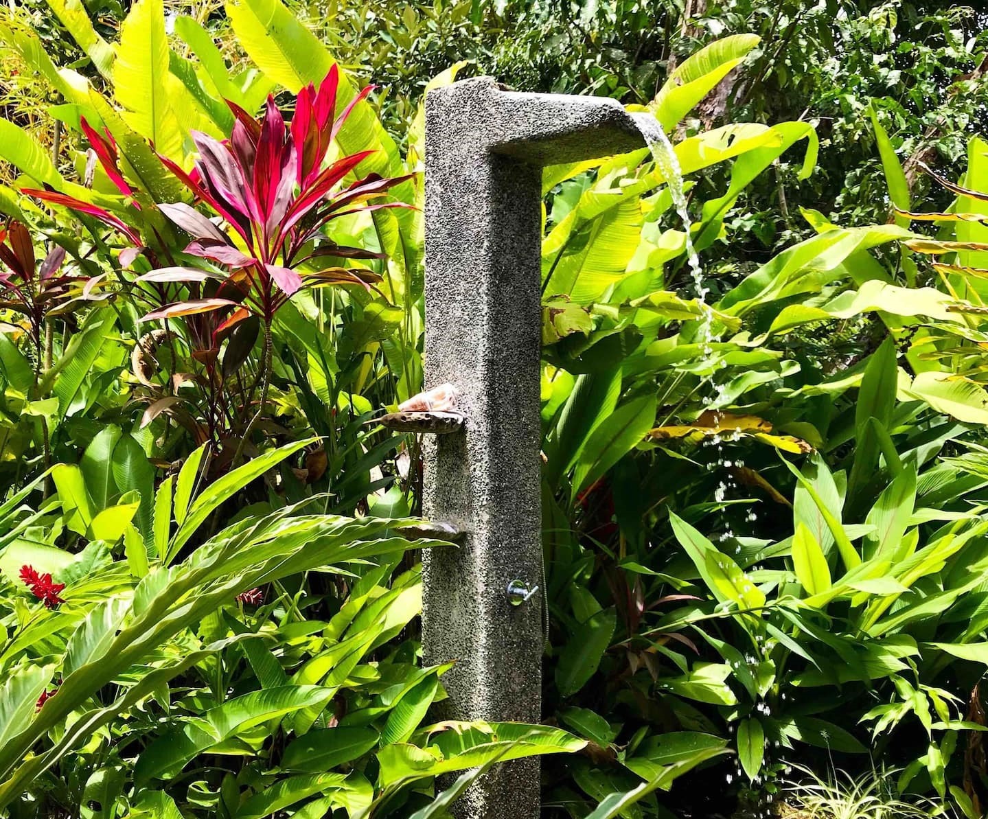 Sola Vista Eco Lodge - Casa Sol en Costa Rica